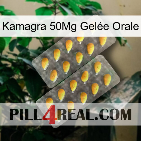Kamagra 50Mg Gelée Orale cialis2